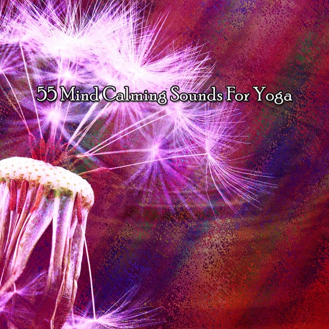 55 Mind Calming Sounds For Yoga - Pure Massage Music