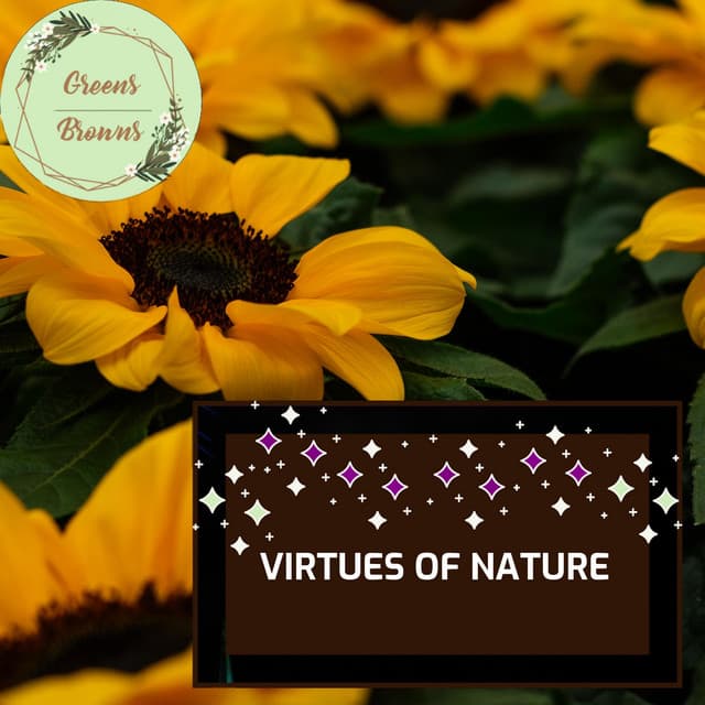 Virtues of Nature - Calm Music