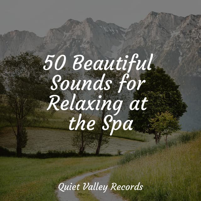 50 Beautiful Sounds for Relaxing at the Spa - Nature Sounds Radio