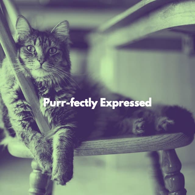 Purr-fectly Expressed - Sleepy Cat