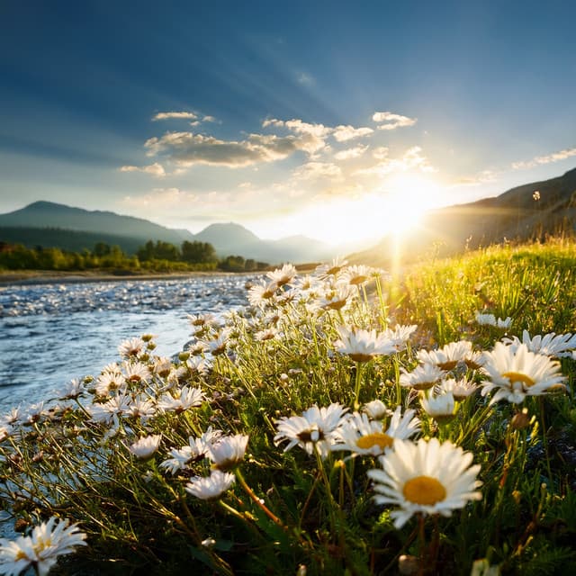 Music For Unwinding The Body And Soul - Relaxing Instrumental Music