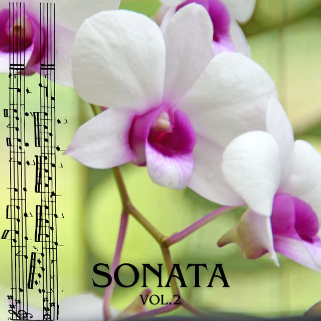 Sonata vol.2 - Edwin Fischer