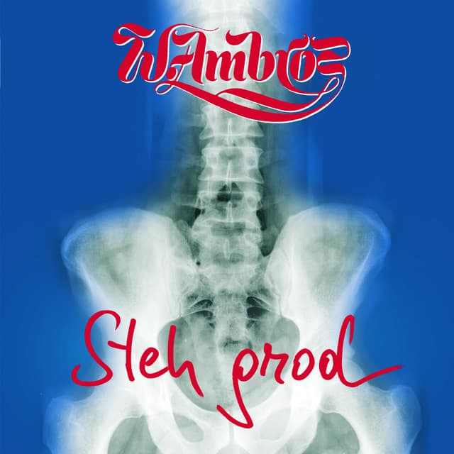 Steh grod - Wolfgang Ambros