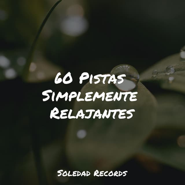 60 Pistas Simplemente Relajantes - Relajación