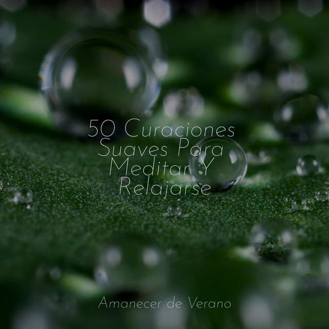 50 Curaciones Suaves Para Meditar Y Relajarse - Mantra para Dormir
