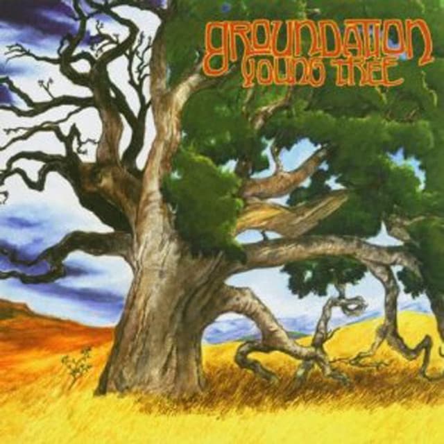 Young Tree - Groundation