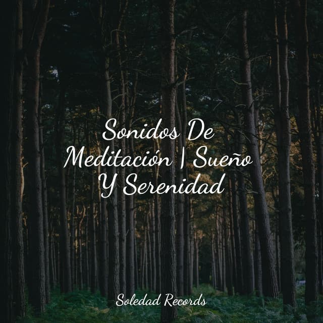 Sonidos De Meditación | Sueño Y Serenidad - Meditação Yoga Maestro