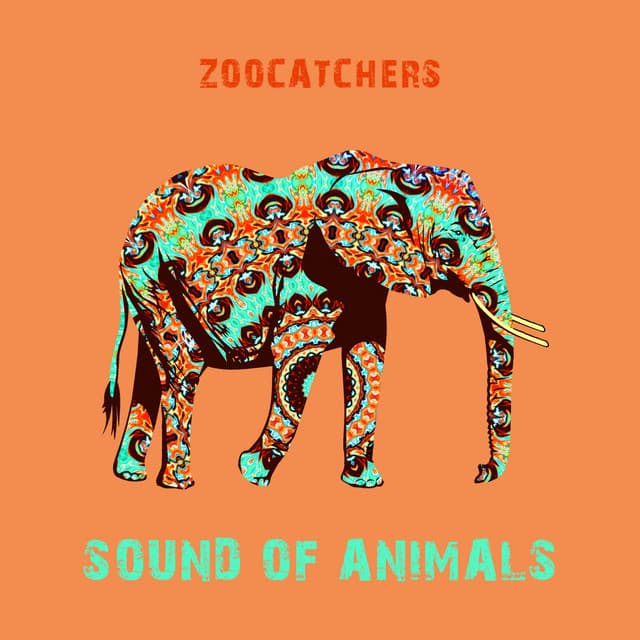 Zoocatchers