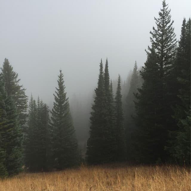 Rain Storm Sounds Of Nature - Natural Sound Makers