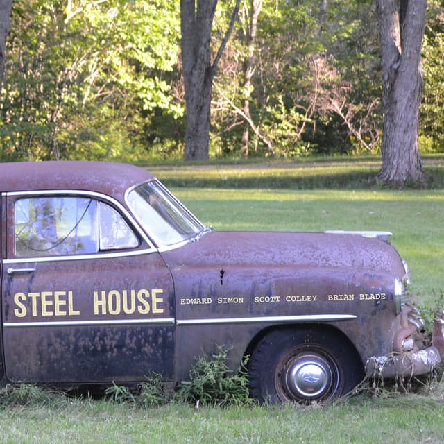 Steel House - Edward Simon