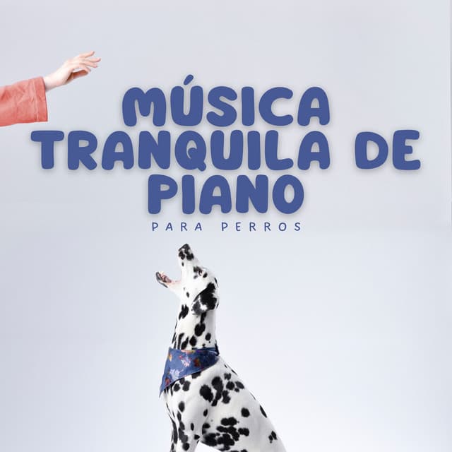Maestros de la música de piano relajante