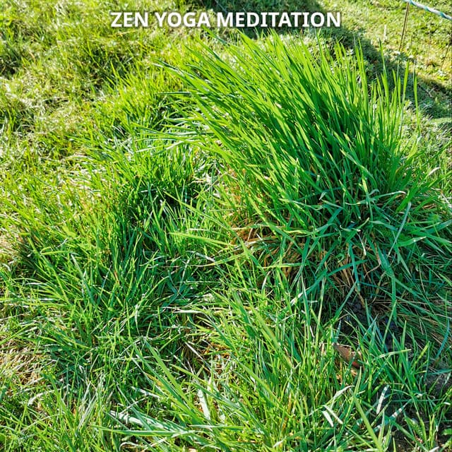 Zen Yoga Meditation Spirituality No. 2 - Meditation