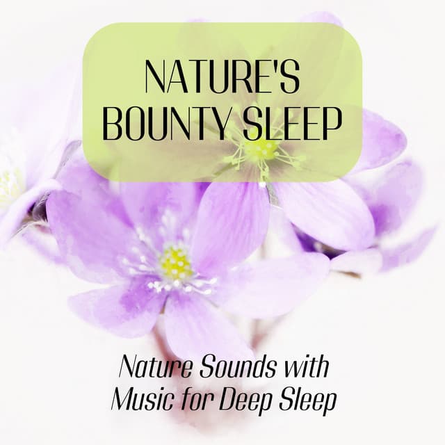 Nature's Bounty Sleep - Nature Sounds with Music for Deep Sleep - Sleep Songs with Nature Sounds