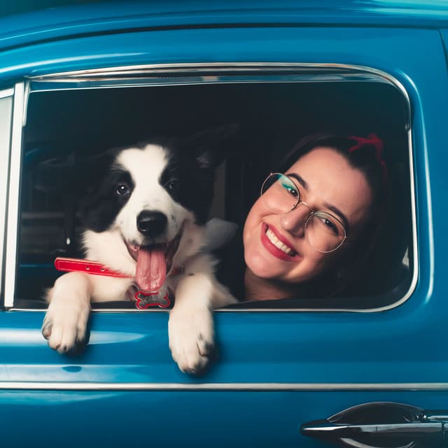 Piano Rain's Journey to Happy Dogs - RPM (Relaxing Piano Music)