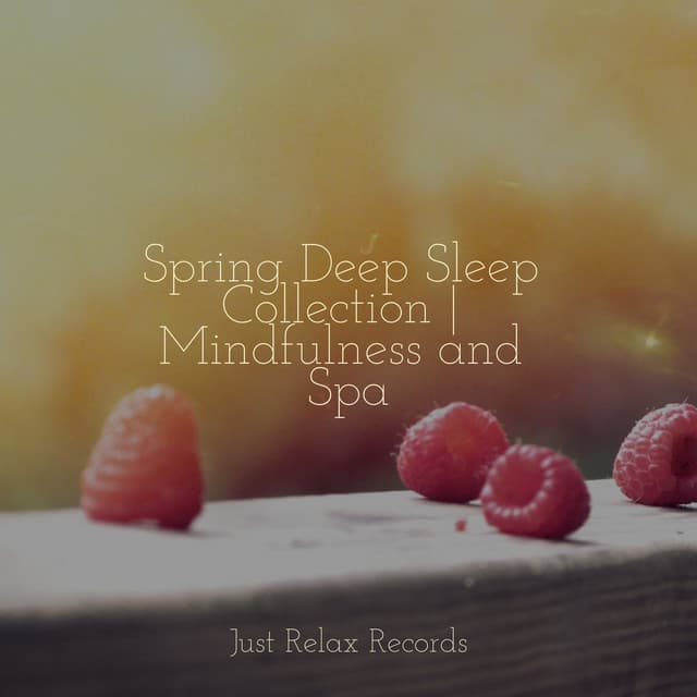 Spring Deep Sleep Collection | Mindfulness and Spa - Sleepy Night Music