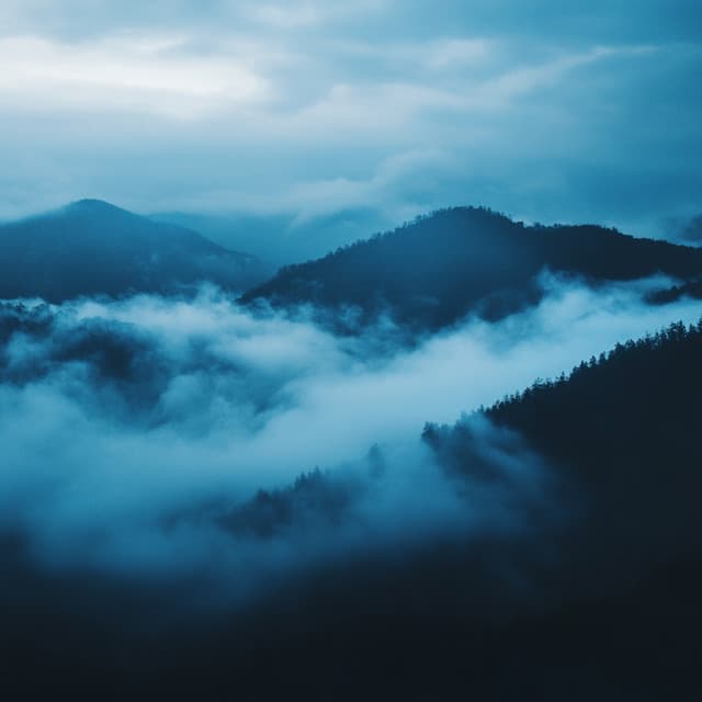 Deep Focus Binaural Sinus 103 Hz - 0neplus0ne