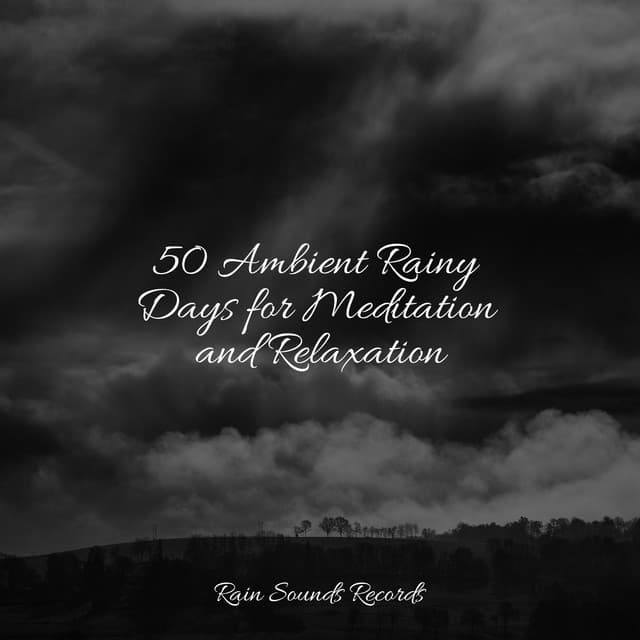 50 Ambient Rainy Days for Meditation and Relaxation - Rest & Relax Nature Sounds Artists