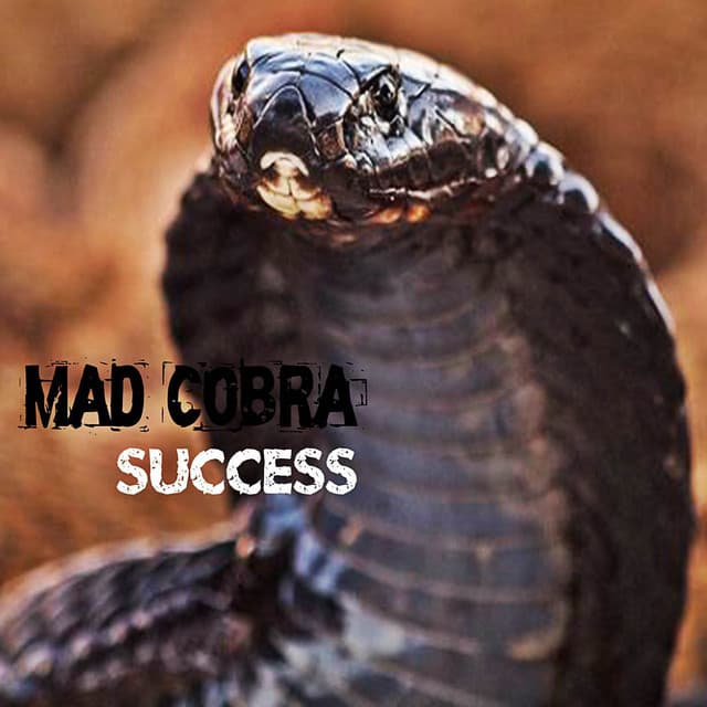 Success - Mad Cobra
