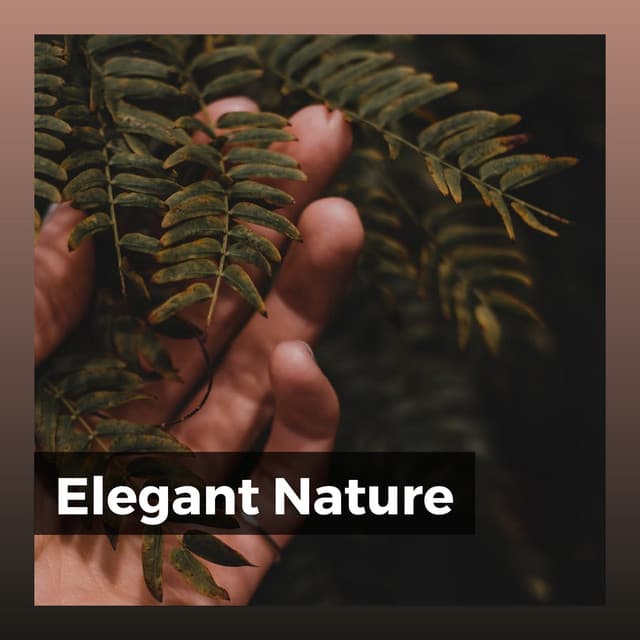 Elegant Nature - Nature Calm