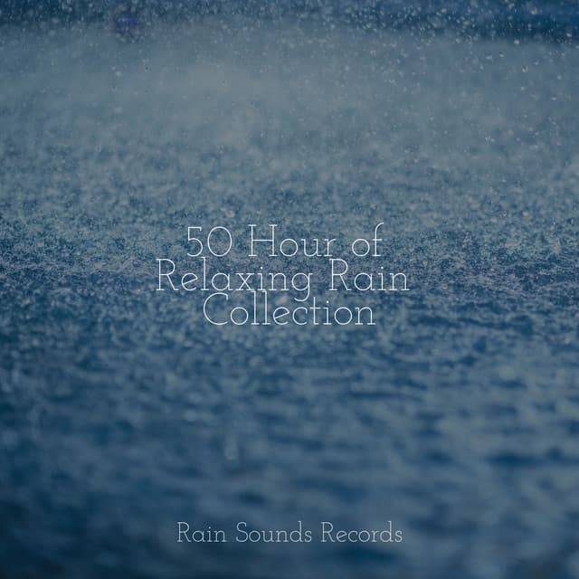 50 Hour of Relaxing Rain Collection - Sleep Sound Library