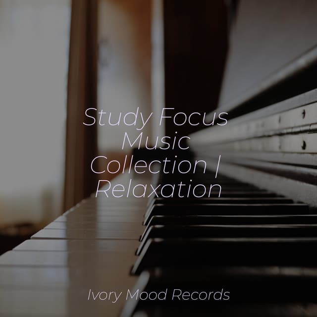 Study Focus Music Collection | Relaxation - Piano Prayer