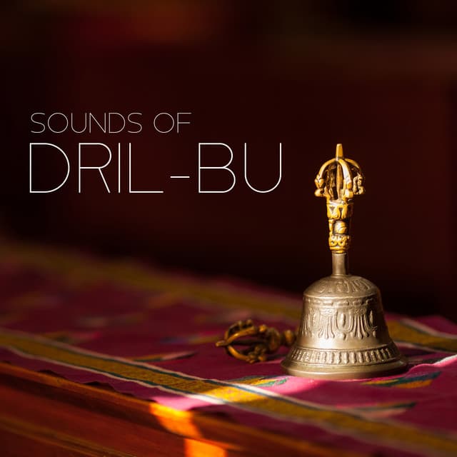 Sounds of Dril - Namah Shina