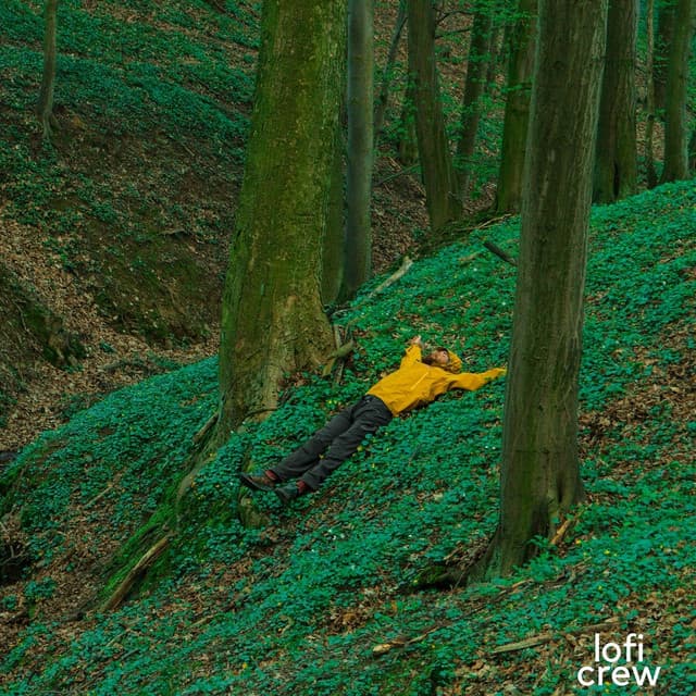 Restful Lofi - Calm Chillhop Beats