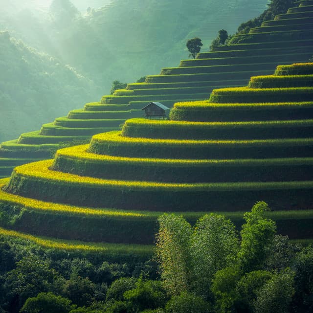 4 Seasons: Magical Forests - Baltic Nature Sounds