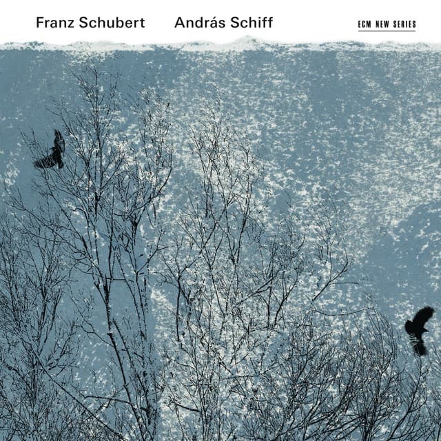 Schubert: Piano Sonatas D. 894 & D. 960; Impropmptus, D. 935 - Franz Schubert