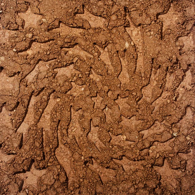 Unerthed: Hole Erth Unplugged - Toro y Moi