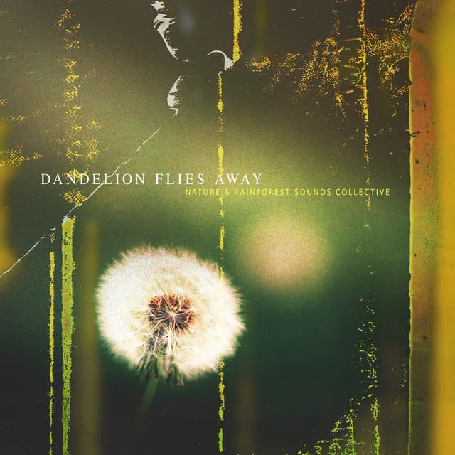 Dandelion Flies Away - Nature & Rainforest Sounds Collective