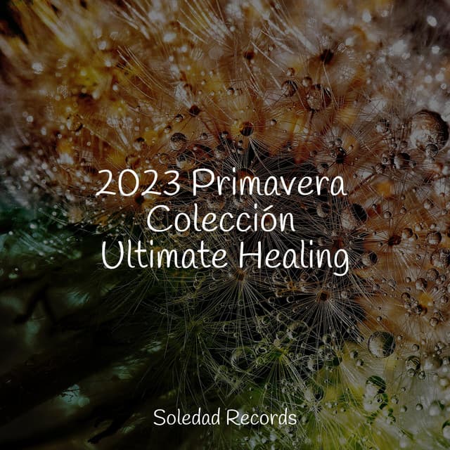 2023 Primavera Colección Ultimate Healing - Musica Relajante Specialistas & Musica Relajante