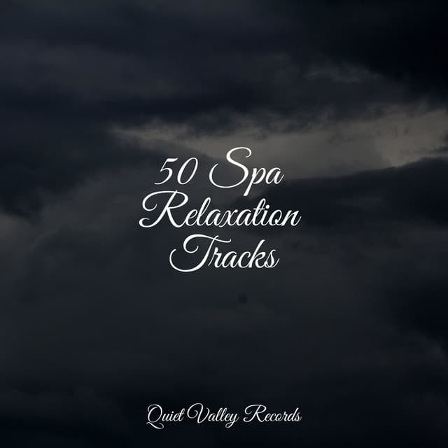 50 Spa Relaxation Tracks - Water Sounds for Sleep