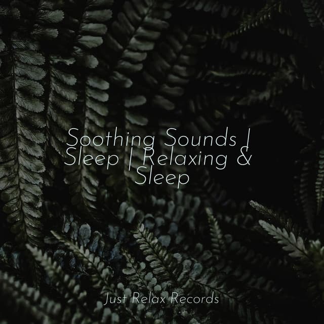 Soothing Sounds | Sleep | Relaxing & Sleep - Meditation Relaxation Club
