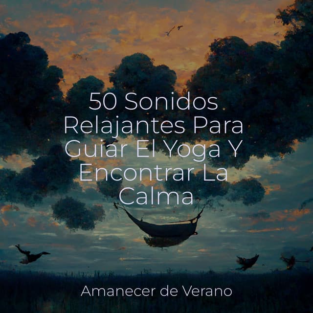 50 Sonidos Relajantes Para Guiar El Yoga Y Encontrar La Calma - Meditar Profundamente