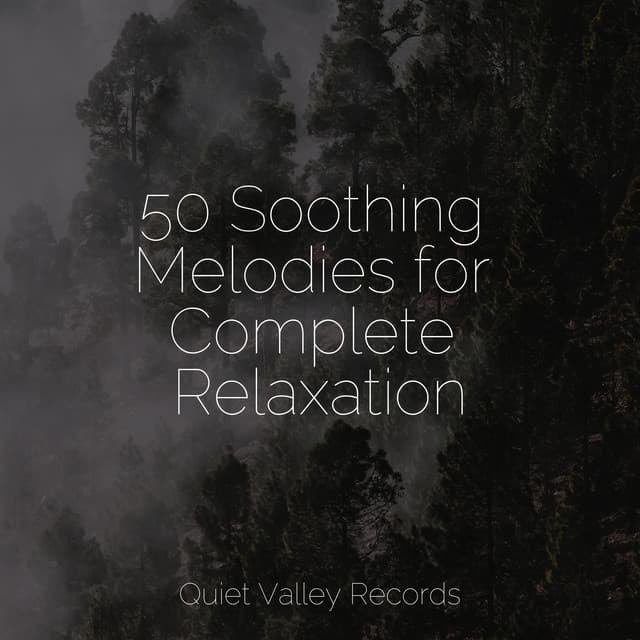 50 Soothing Melodies for Complete Relaxation - Nature Sound Series