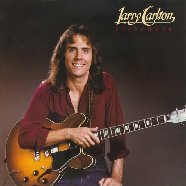 Sleepwalk - Larry Carlton