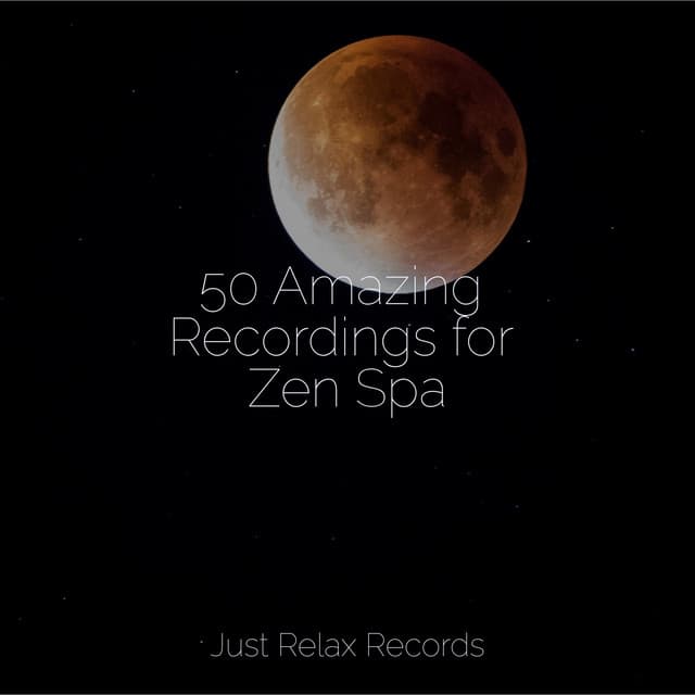 50 Amazing Recordings for Zen Spa - Meditation Relaxation Club