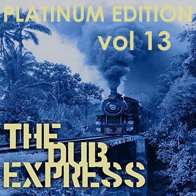 The Dub Express Vol 13 Platinum Edition - The Aggrovators