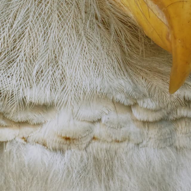 365 Complete Works 23 - Aidan O'Rourke