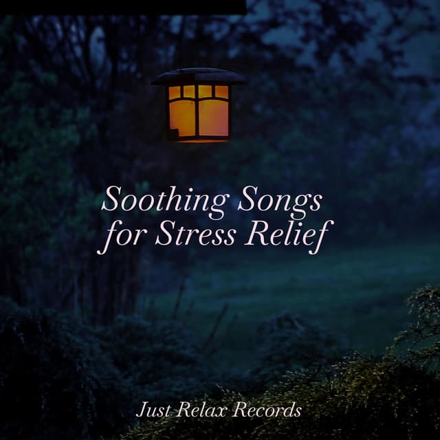 Soothing Songs for Stress Relief - Sonidos De Lluvia y Tormentas