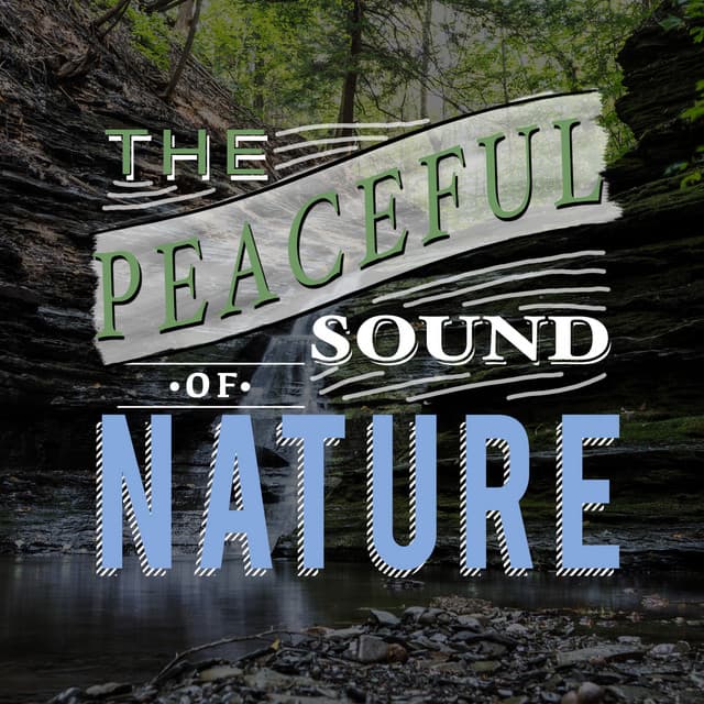 The Peaceful Sounds of Nature - Ambiance nature