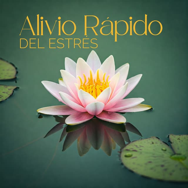 Alivio Rápido del Estrés - Relajación