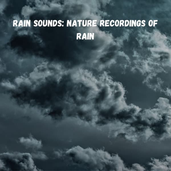 Rain Sounds: Nature Recordings of Rain - Weather and Nature Recordings
