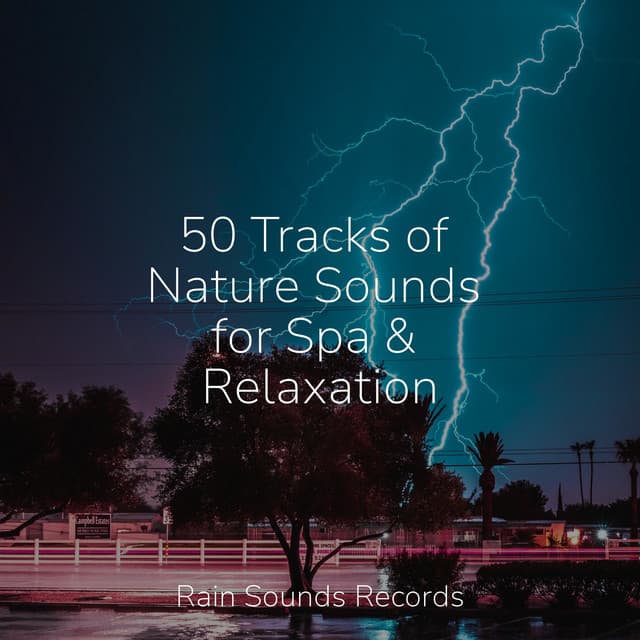 50 Tracks of Nature Sounds for Spa & Relaxation - Sonidos De Lluvia y Tormentas