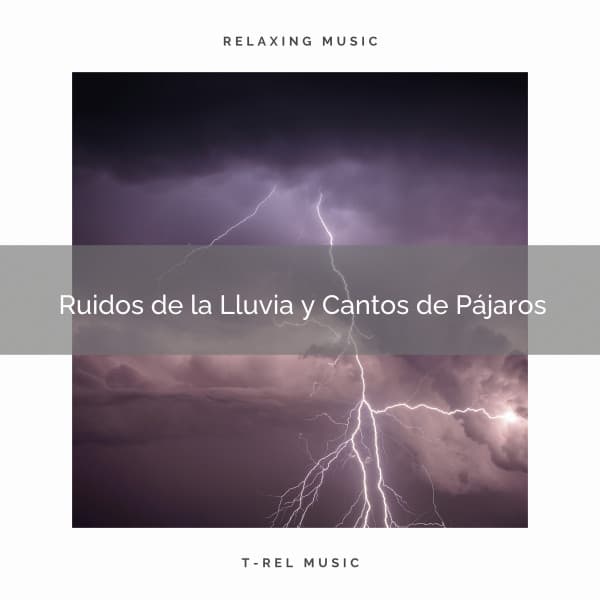 1 Ruidos de la Lluvia y Cantos de Pájaros - Academia de Música con Sonidos de la Naturaleza