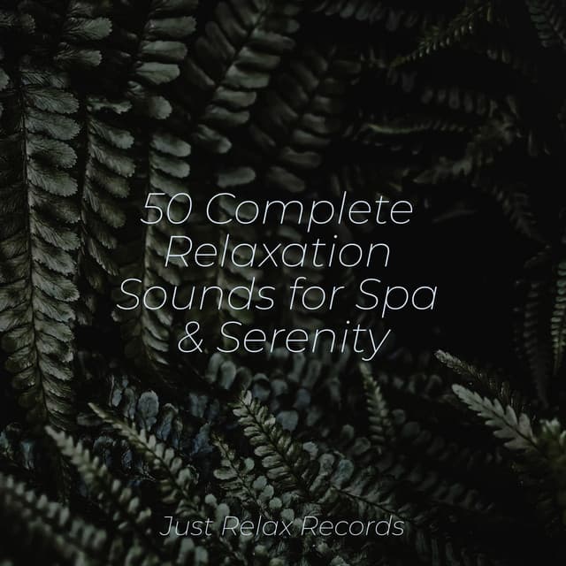 50 Complete Relaxation Sounds for Spa & Serenity - Powerthoughts Meditation Club