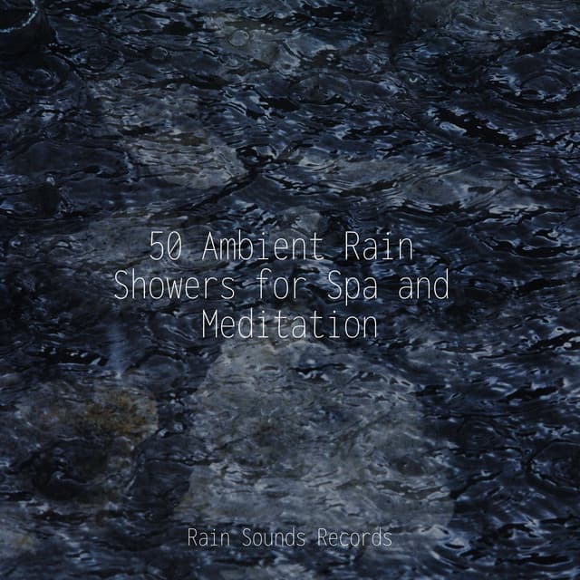 50 Ambient Rain Showers for Spa and Meditation - Weather Factory