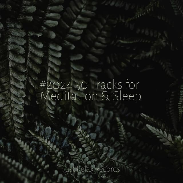 #2024 50 Tracks for Meditation & Sleep - Meditation Awareness