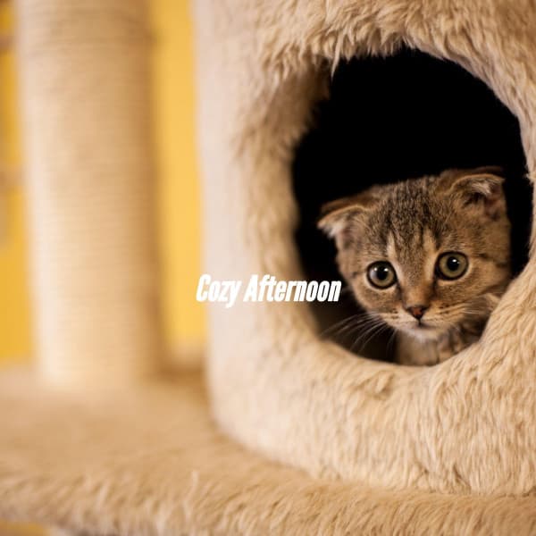 Jazz Lounge Bar Ambiance